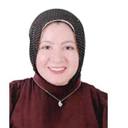 Alaa Mohamed Youssef